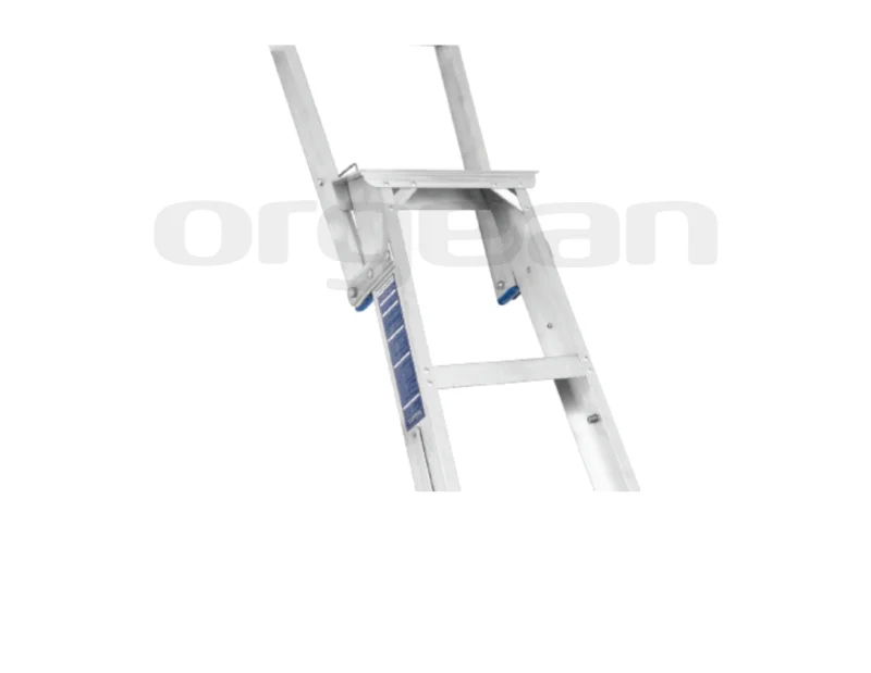 Dual Purpose Aluminium Ladder