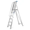Snappy Aluminium Ladder